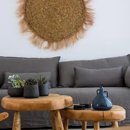 Zoe Cycladic House With Pool Πλάκα